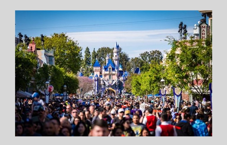 Disneyland vs Disney World Guest